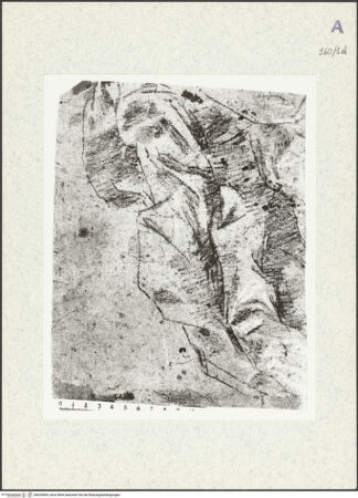 Vorderseite von bh424969_recto