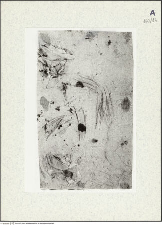 Vorderseite von bh424971_recto