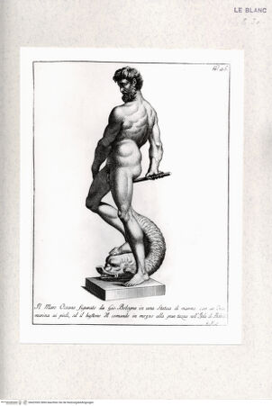 Vorderseite von bh425302