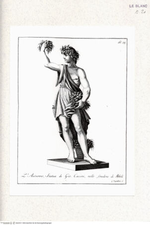 Vorderseite von bh425311