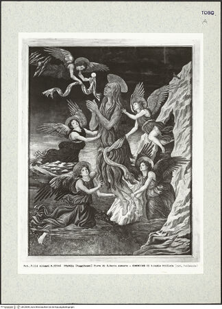 Vorderseite von bh425989_recto