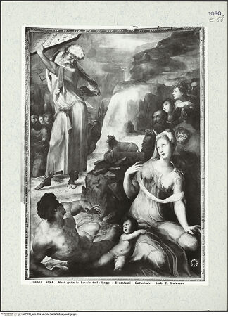 Vorderseite von bh425995_recto