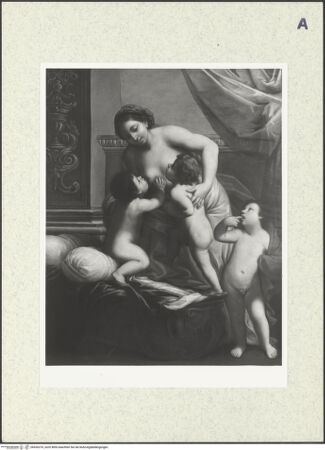 Vorderseite von bh426376_recto