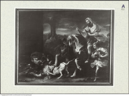 Vorderseite von bh426461_recto