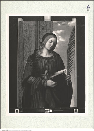 Vorderseite von bh426520_recto