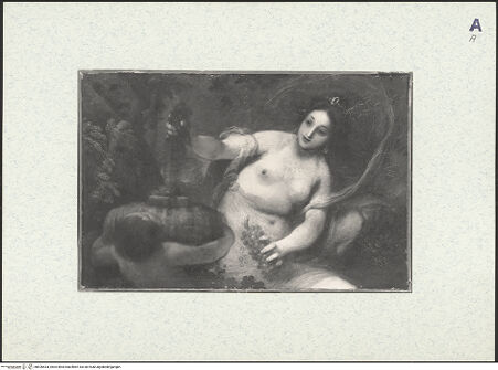 Vorderseite von bh426534_recto