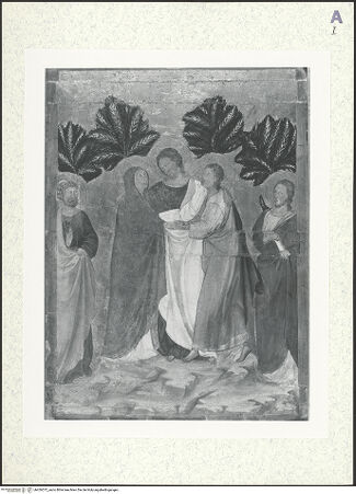 Vorderseite von bh426572_recto