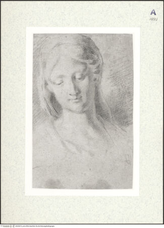 Vorderseite von bh426619_recto