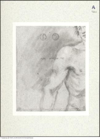 Vorderseite von bh426631_recto