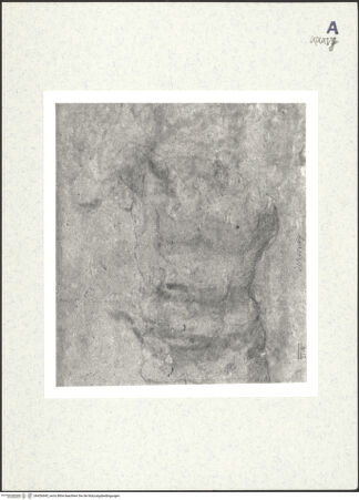 Vorderseite von bh426645_recto