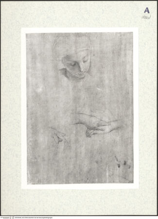 Vorderseite von bh426648_recto