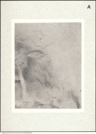 Vorderseite von bh426662_recto