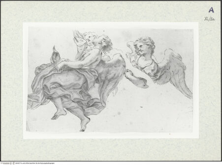 Vorderseite von bh426716_recto