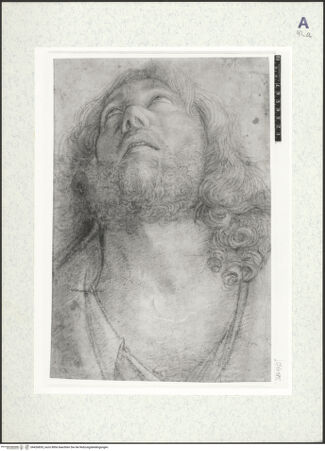 Vorderseite von bh426835_recto