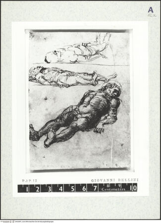 Vorderseite von bh426841_recto