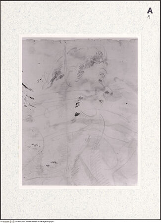 Vorderseite von bh426878_recto