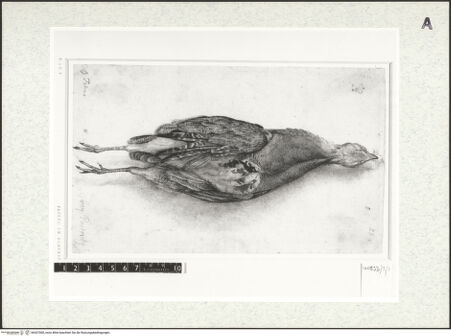 Vorderseite von bh427000_recto