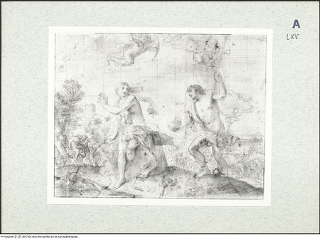 Vorderseite von bh427005_recto