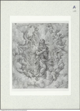 Vorderseite von bh427026_recto