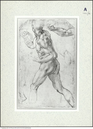 Vorderseite von bh427028_recto