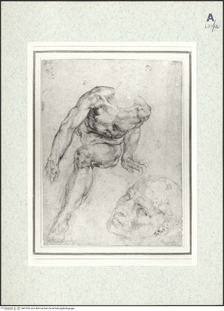 Vorderseite von bh427030_recto