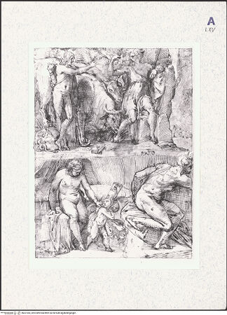 Vorderseite von bh427045_recto