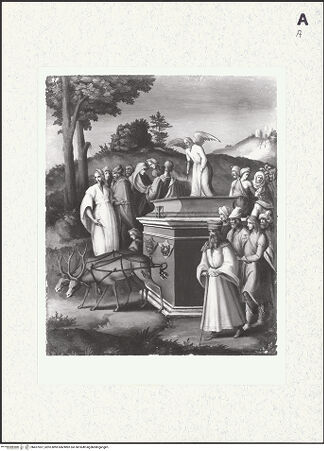 Vorderseite von bh427057_recto