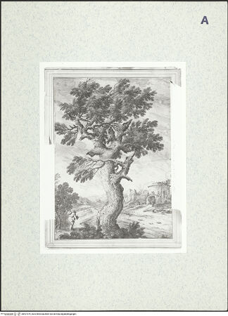 Vorderseite von bh427079_recto