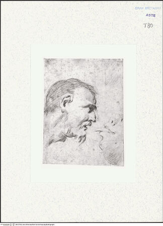 Vorderseite von bh427093_recto