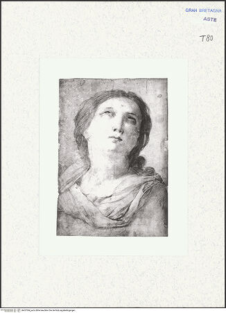 Vorderseite von bh427094_recto