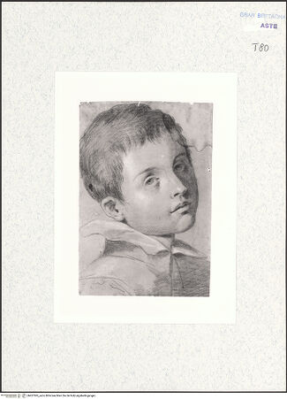 Vorderseite von bh427095_recto