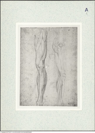 Vorderseite von bh427112_recto