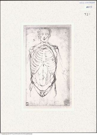 Vorderseite von bh427137_recto