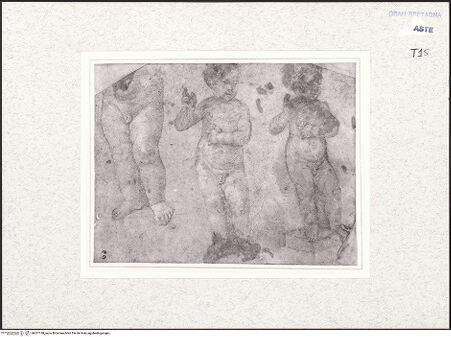 Vorderseite von bh427148_recto