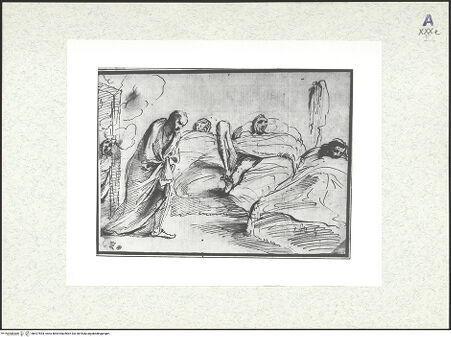 Vorderseite von bh427554_recto