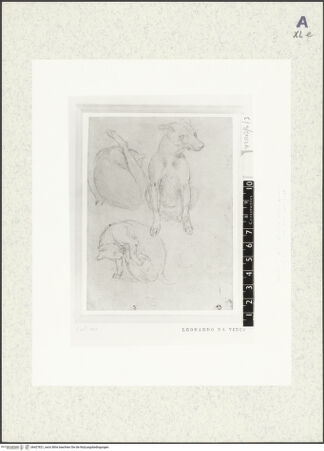 Vorderseite von bh427821_recto