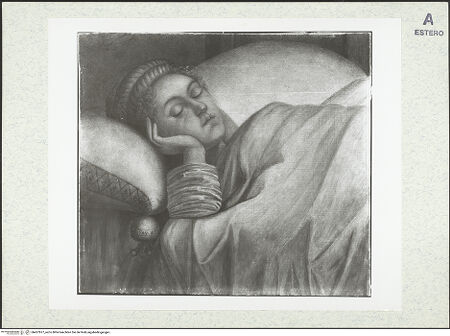 Vorderseite von bh427877_recto