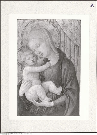 Vorderseite von bh427891_recto