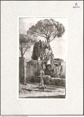 Vorderseite von bh427906_recto