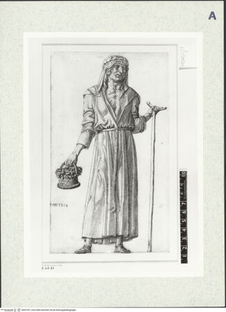 Vorderseite von bh427931_recto