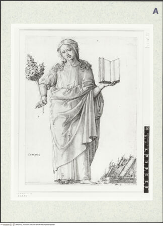 Vorderseite von bh427932_recto