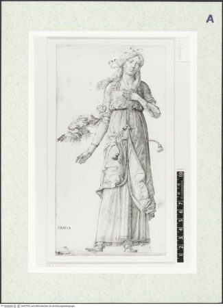 Vorderseite von bh427933_recto