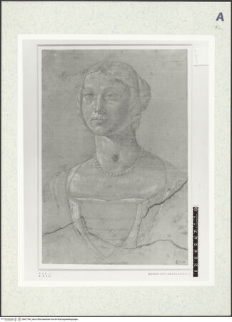 Vorderseite von bh427943_recto