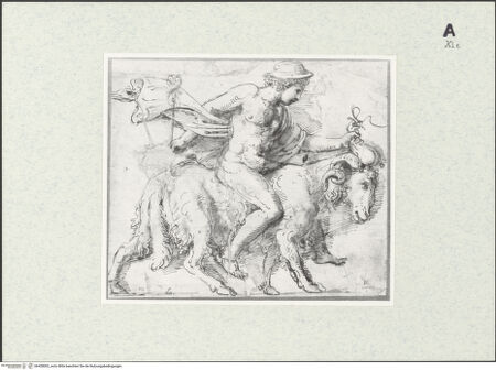 Vorderseite von bh428002_recto