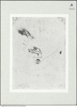 Vorderseite von bh428016_recto