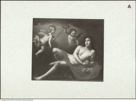 Vorderseite von bh428019_recto