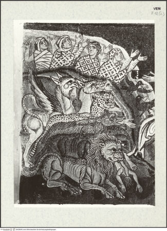 Vorderseite von bh428049_recto