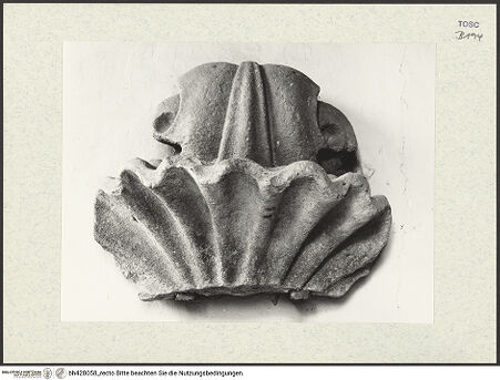 Vorderseite von bh428058_recto