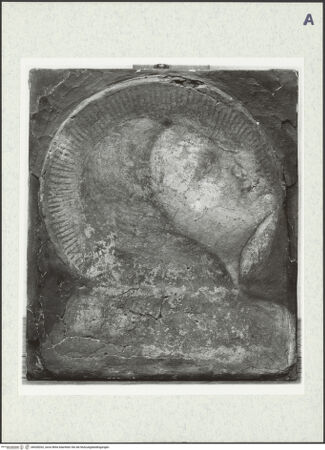 Vorderseite von bh428262_recto