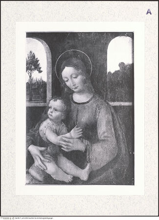 Vorderseite von bh428271_recto